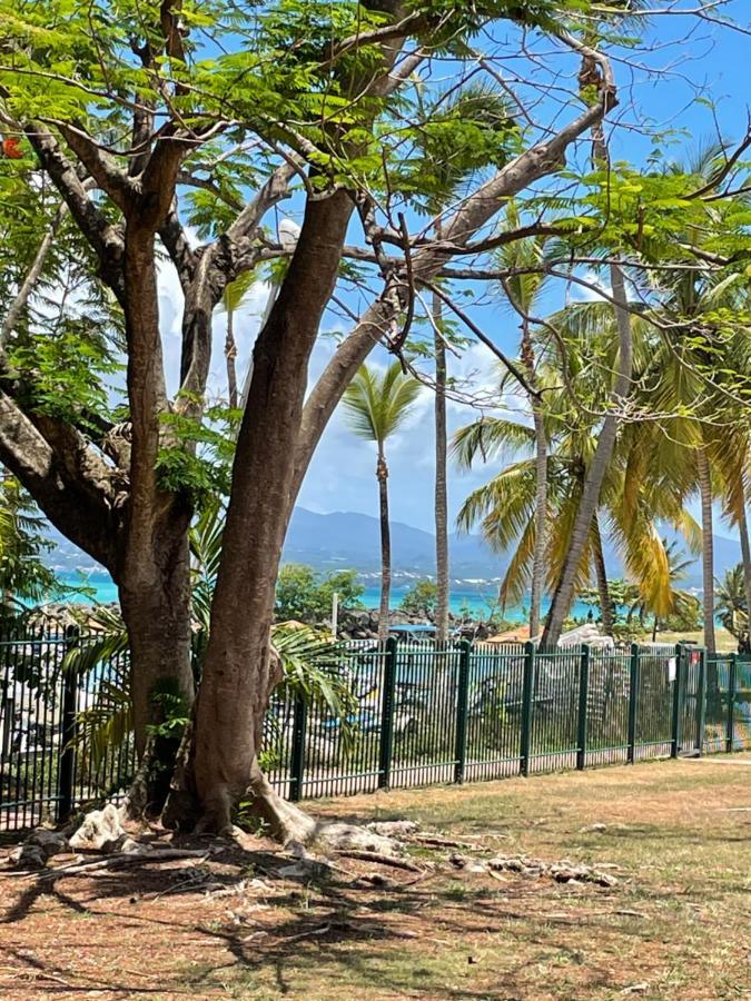 לה גוסייר Cauris Lodge Du Marisol Vue Mer Acces Direct Plage Avec Citerne D Eau מראה חיצוני תמונה